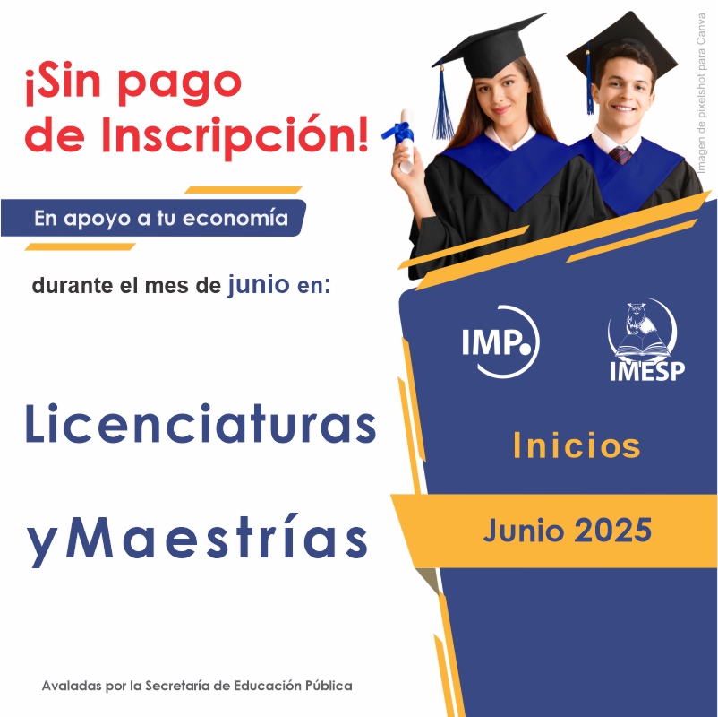 Licenciatura y Maestria